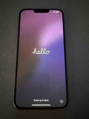 Apple iPhone 13 Pro Max 256GB - Silver/White (Factory Unlocked) 94% Battery EUC!