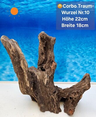   Corbo Root Aquarium Traum Wurzel