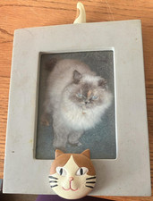 CAT  PICTURE FRAME 7 x 5.75