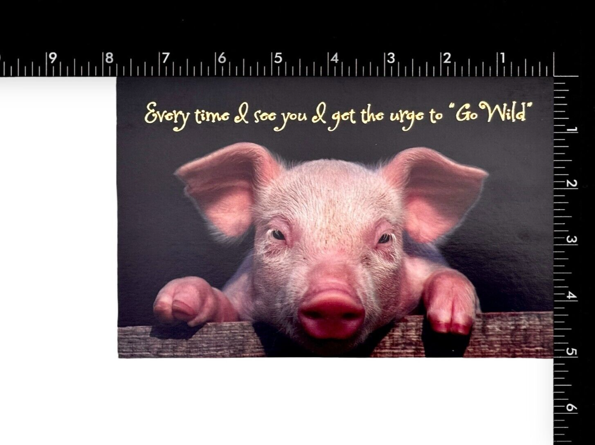 Artery8 Geburtstagskarte "Fliegendes Schwein" - Niedliches Tierdesign Mit Engel Für Ihn/Sie, Blanko Innen