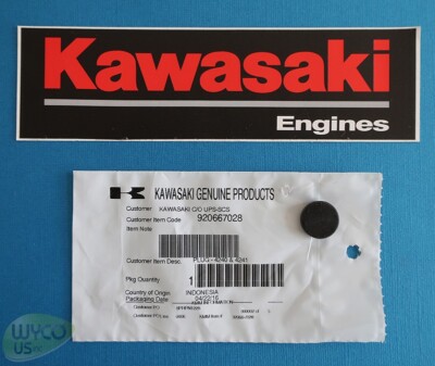 (1) PLUG, OIL PUMP ROTOR, KAWASAKI FR651V, FR691V, FR730V, FS481V, FS541V, 10D14