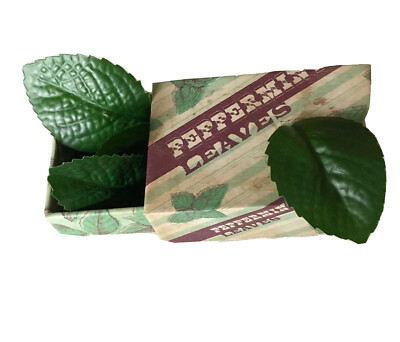 Wizarding Trunk Peppermint Leaves Potion Ingredient Box Harry Potter Prop