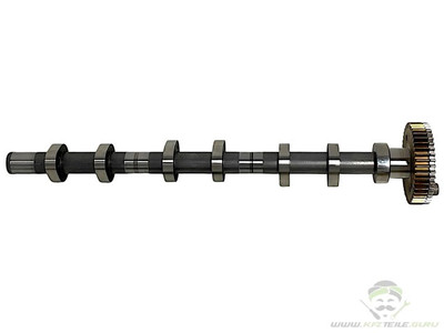 Original Nockenwelle Audi A4 A5 A6 A7 A8 Q5 Q7 Q8 Touareg 059109012EM Neu