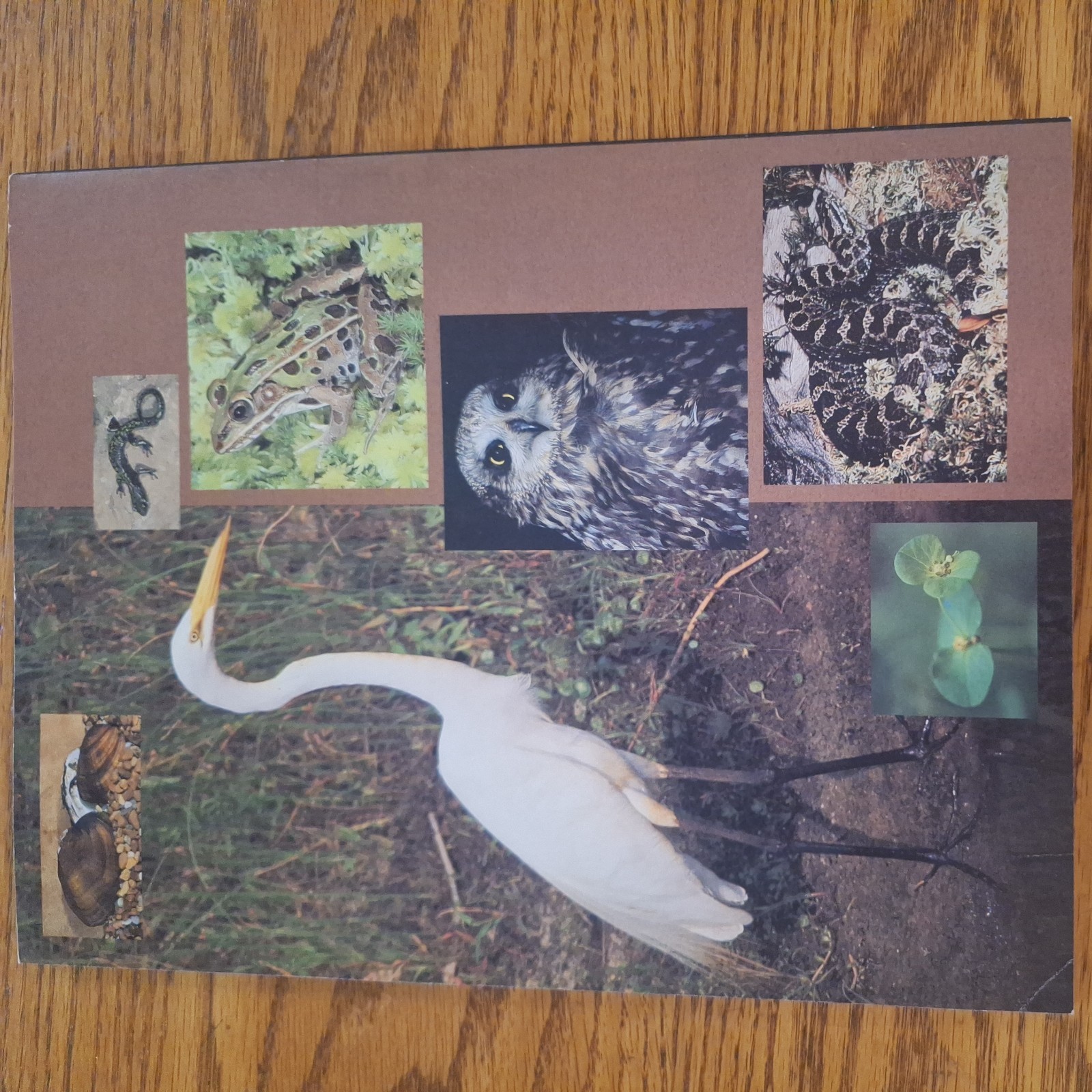 Picture 2 of 4