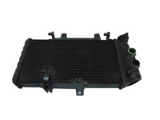 Radiateur Mg F
