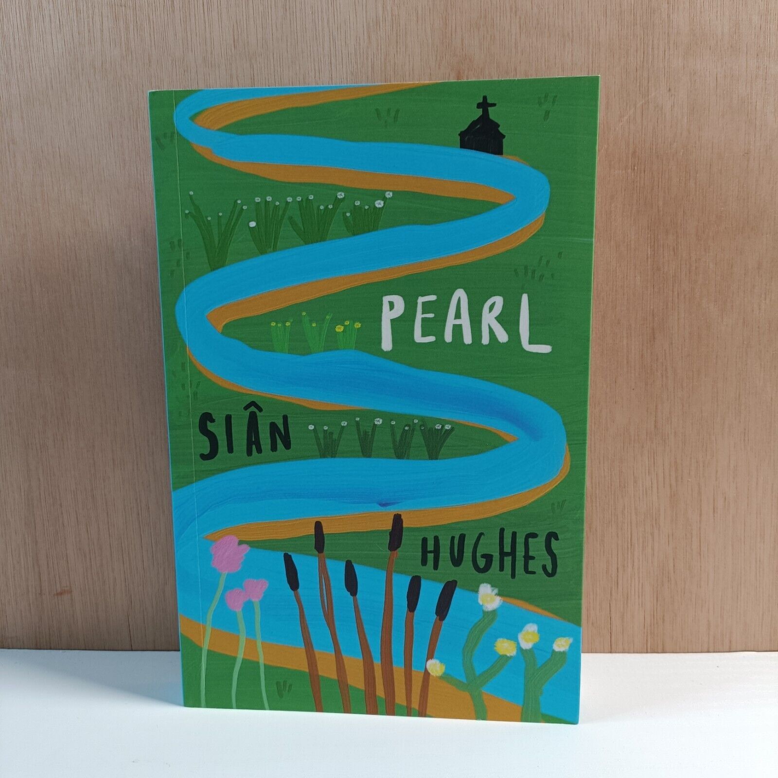 Pearl: Longlisted for the Booker Prize 2023 Sian Hughes Paperback 1st Edition