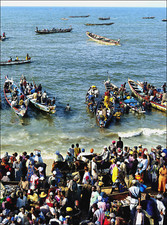 2006 Print Fishermen Race in Boats to Pull in Fish at MBour Senegal Africa