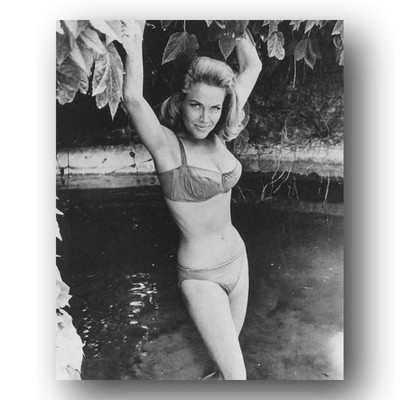 Honor Blackman Photo 8x10 Bikini 1965 Portrait Black And White