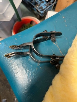 Vintage Black Steel English Riding Spurs with Brass Rowels