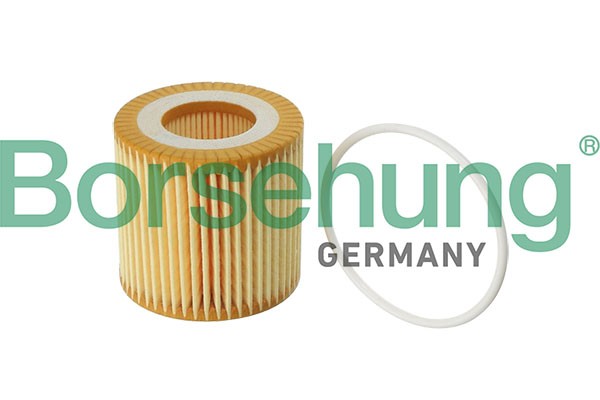 Borsehung ÖLfilter Filtereinsatz FüR Skoda Fabia Ii 1.2 12V Vw Polo Fox-image
