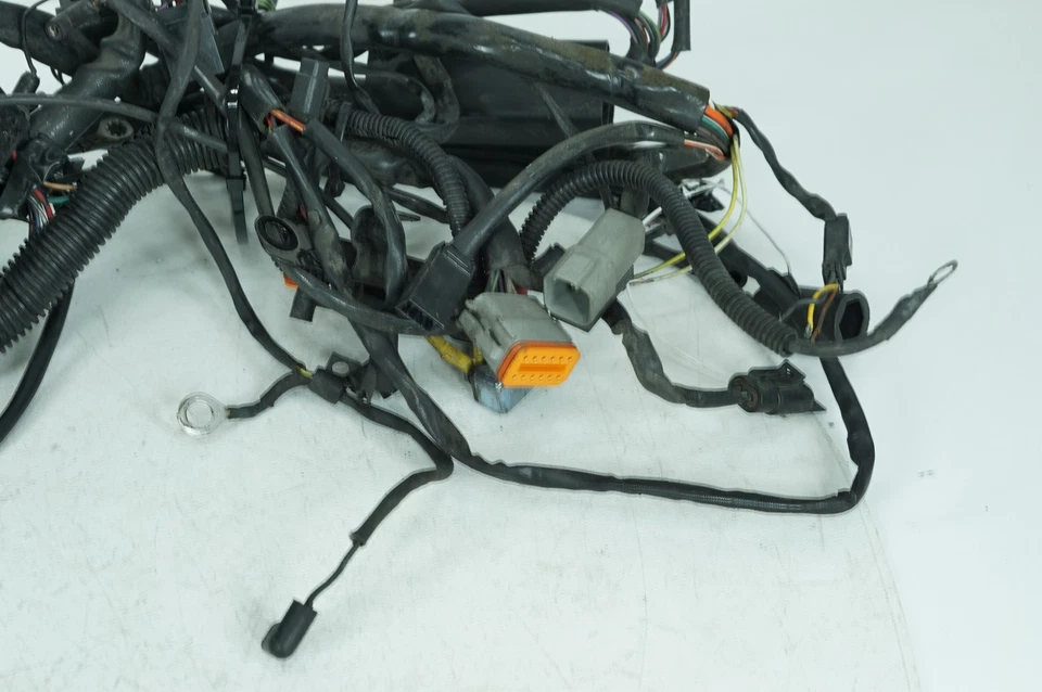 Harley Softail 2001 FXSTDI Deuce OEM cableado principal arnés telar EFI 70216-01 Foto 4 de 4