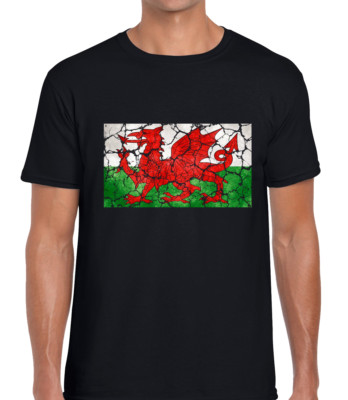 VINTAGE WALES FLAGGE HERREN T-SHIRT WALISISCH PATRIOTISCHES DESIGN RUGBY FUSSBALL GESCHENKIDEE