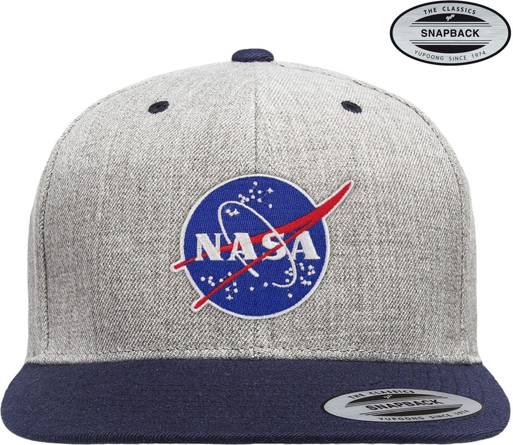 - - NASA Insignia----