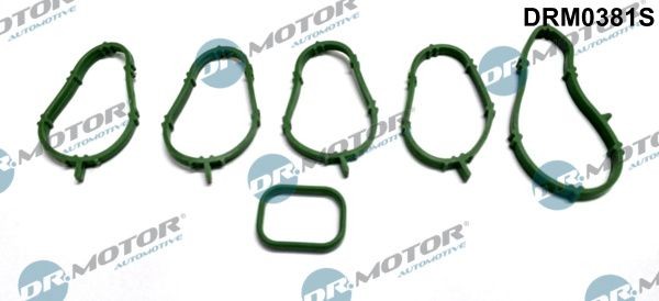 NEU - Dr.Motor Automotive DRM0381S Dichtungssatz, AnsaugkrüMmer Lancia-image