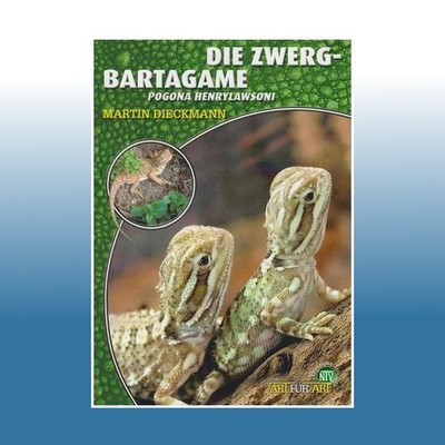 Die Zwergbartagame | Martin Dieckmann