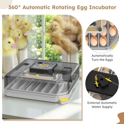 48 Eggs Incubator Automatic Turning Quail Chick Chicken Hatcher For Hatching Egg