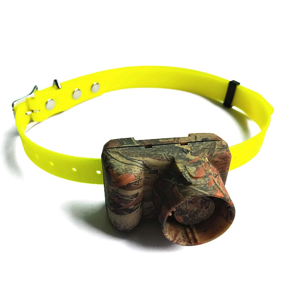 Dog on sale buzzer collar