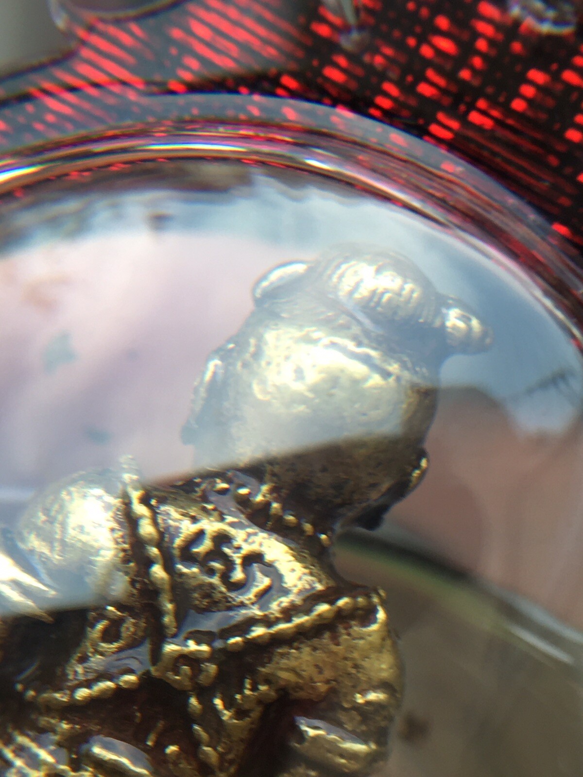 Kuman Thong In Oil Gamble Thai Amulet Fetish Talisman Charm Protection