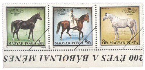 CHINA 2002-1 Whole Year of Horse Full set Yearly stamps set MNH 馬