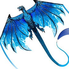 Complete Kite with Handle, Line  Accessories,Easy to Fly for Kids  Adults, ...