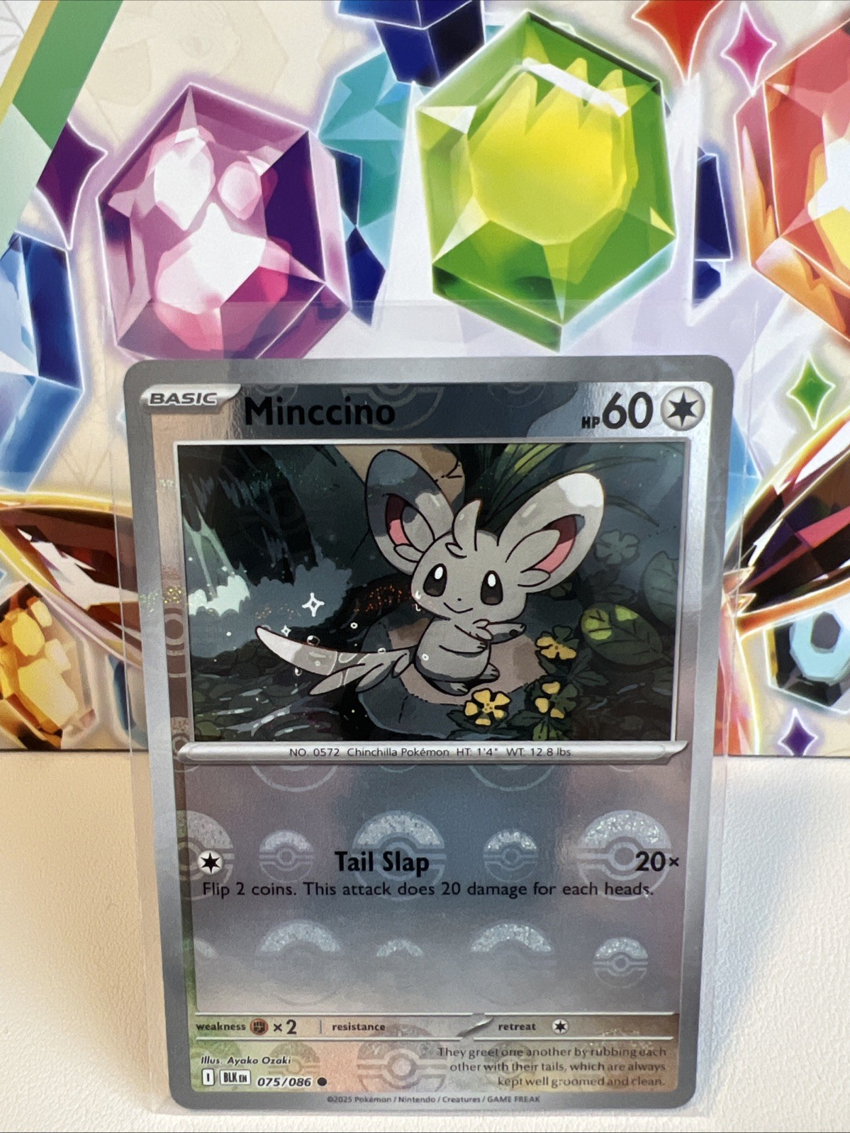 Minccino 075/086 Poke Ball Reverse Common - Pokémon TCG Black Bolt - NM