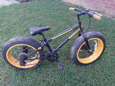 baja cruz fat tire bike