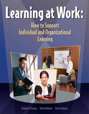 Learning at Work: How to Support Individual and Orgnizational Learning