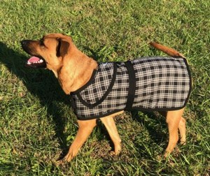 plaid dog coat