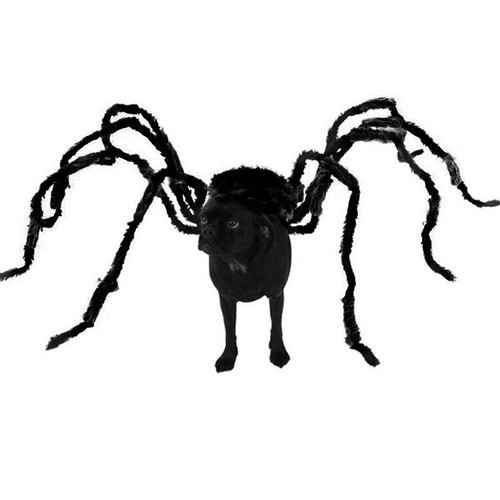 Dog Spider Costume Outfit Halloween Suit Giant Spiders Small Puppy