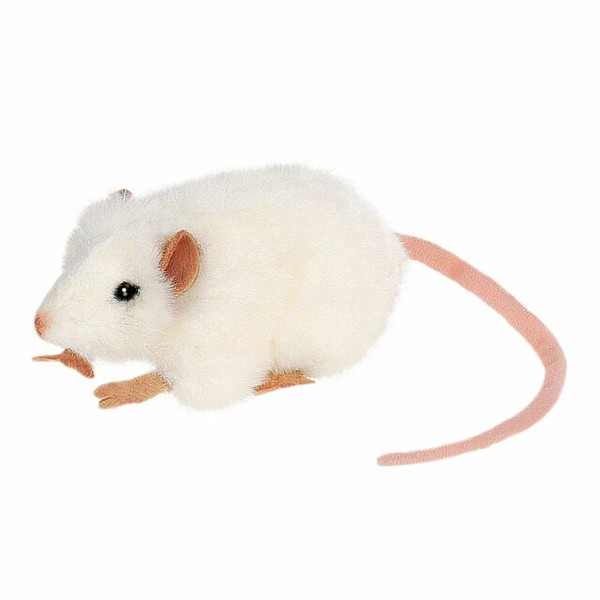 hansa white german mouse