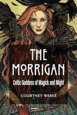 The Morrigan: Celtic Goddess of Magick and - Paperback, by Weber Courtney - Good
