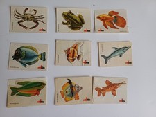 lot 9 petits autocollants vintage poissons biscottes Prior 3,5 cm / 5 cm
