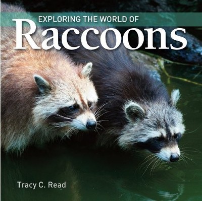EXPLORING THE WORLD OF RACCOONS By Tracy Read **BRAND NEW**