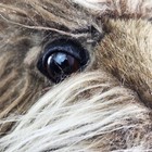Bild 6 von 12