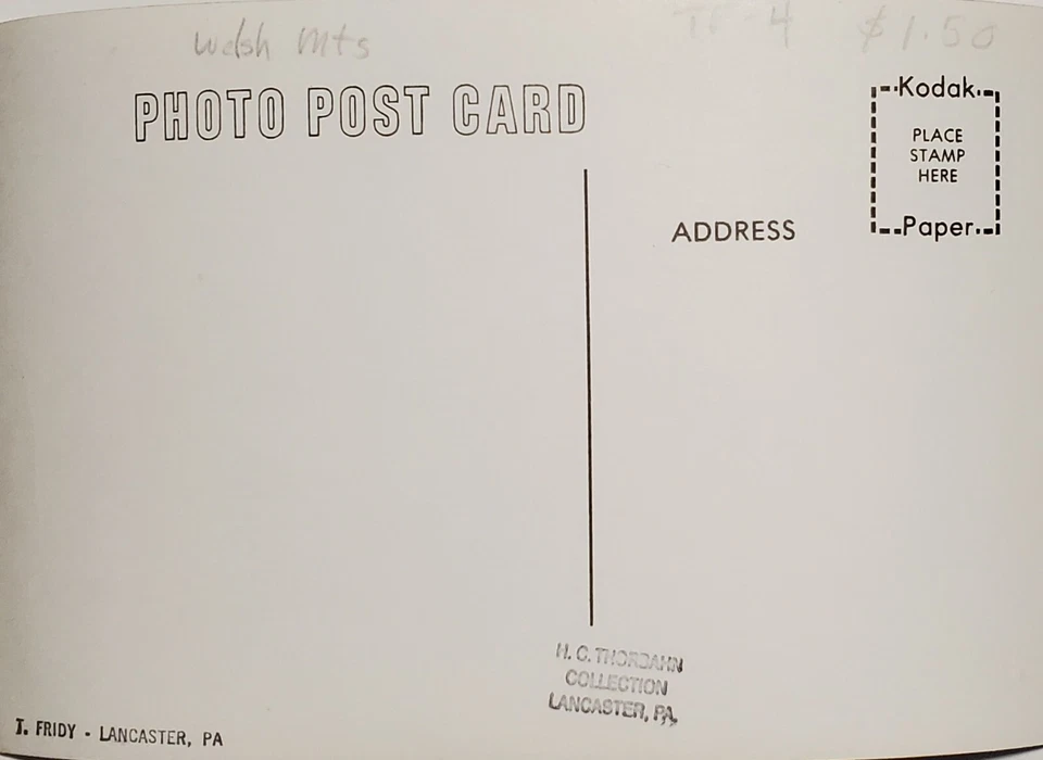 Welsh Mts African American Boy Dog HC Thorbahn Lancaster PA J Fridy Postcard G44 - Image 3 of 3