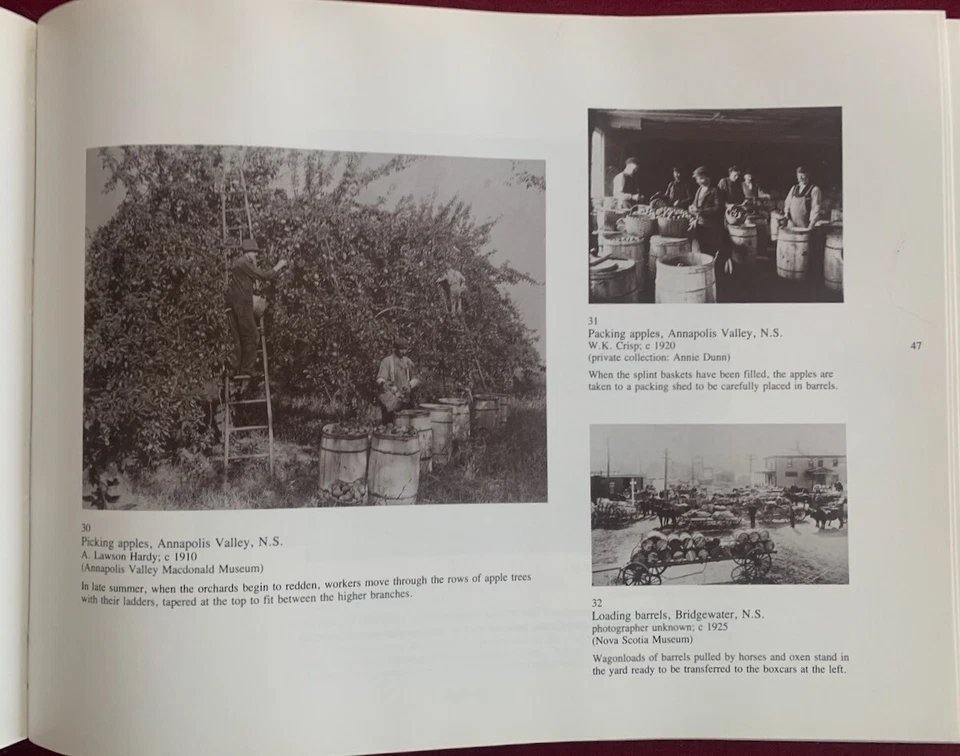 Canada Historic Canadian Photographs of the Atlantic Provinces Before 1920 Foto 3 de 4