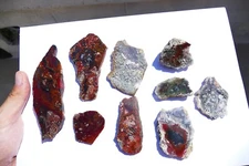 High Grade Moss Agate Plume Agate Slabs 1.01