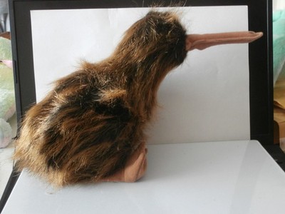 TY Beanie Baby Babys Buddy BEAK THE KIWI THE New Zealand Bird Original 9 MWMT