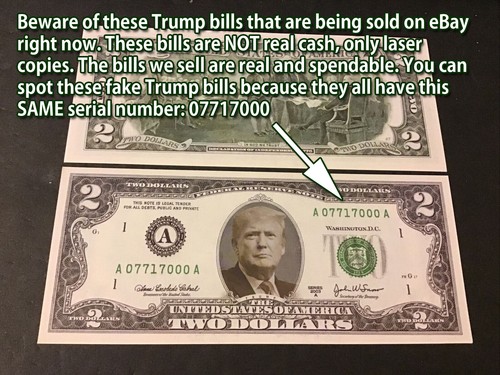 Donald Trump on a REAL Dollar Bill Mugshot Money Cash Collectible Celebrity - Picture 5 of 5