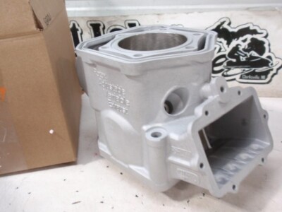 Ski-Doo Rev GSX MXZ 600 SDI Cylinder and Piston 420613944 for sale