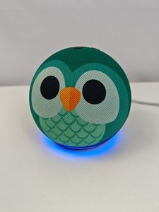 Amazon Echo Dot 5. Gen Kinder Smart Lautsprecher Eule mit Alexa (B09B97BPSW)