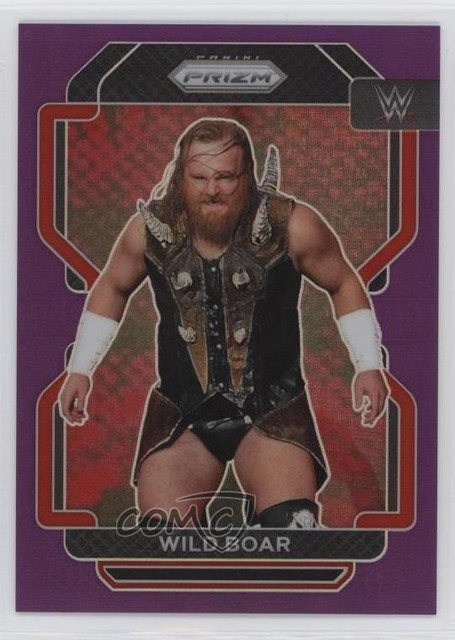 2022 Panini Prizm WWE Purple Prizm 20/149 Wild Boar #139 Rookie RC 3hd