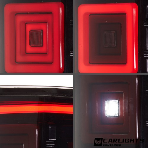 Luces traseras LED para camioneta Ford F150 F-150 2015-2020 conjunto de luces traseras arranque - Imagen 6 de 11