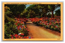 San Francisco, CA California, Golden Gate Park Rhododendrons, Linen Postcard