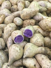 10 POUNDS Purple Flesh Japanese Okinawan Sweet Yam Hawaiian Potatoes for Cooking