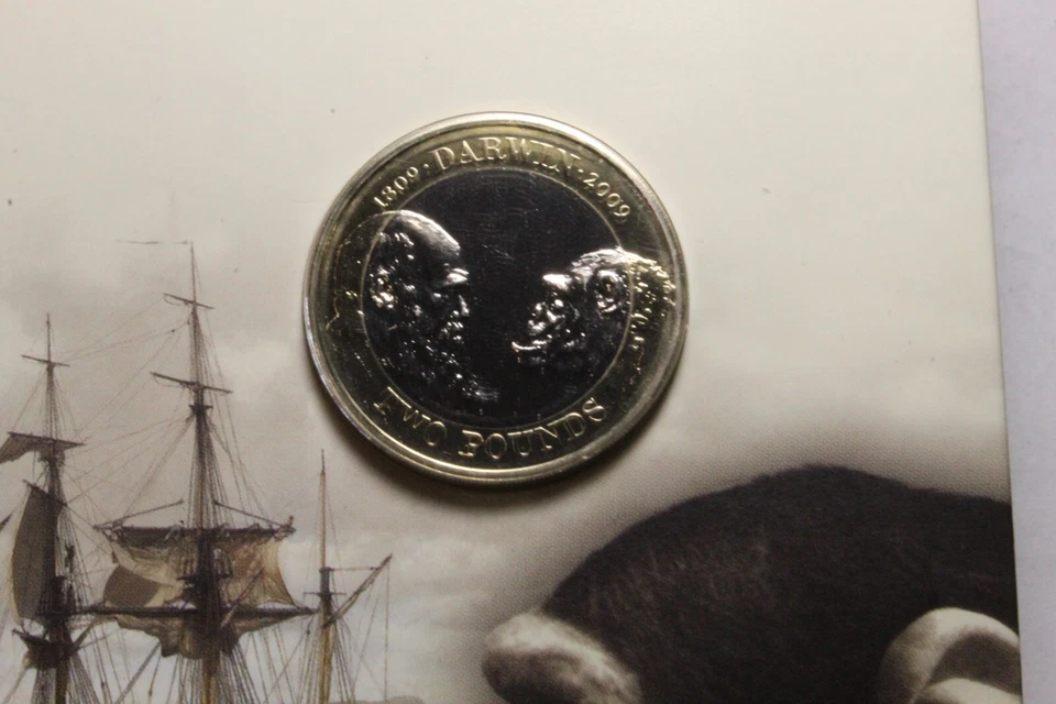 2009 The Royal Mint Charles Darwin UK Brilliant Uncirculated Two Pounds £2 Coin - Image 4 of 4