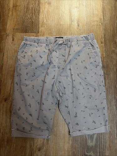 Lrg Clothing + Equipment Mens Size 40 Shorts