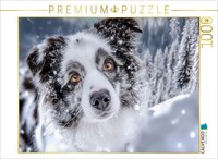 Calvendo Puzzle What An Impressive Portrait | 1000 Pieces, Finished Size 25.2 ×