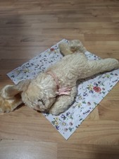 Steiff Hase Floppy Hansi, 26 Cm, Liegend, Bauchschläfer