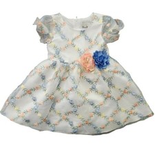 Rare Editions Girls 3T Floral Embroidered Dress with Flowers Spring Easter